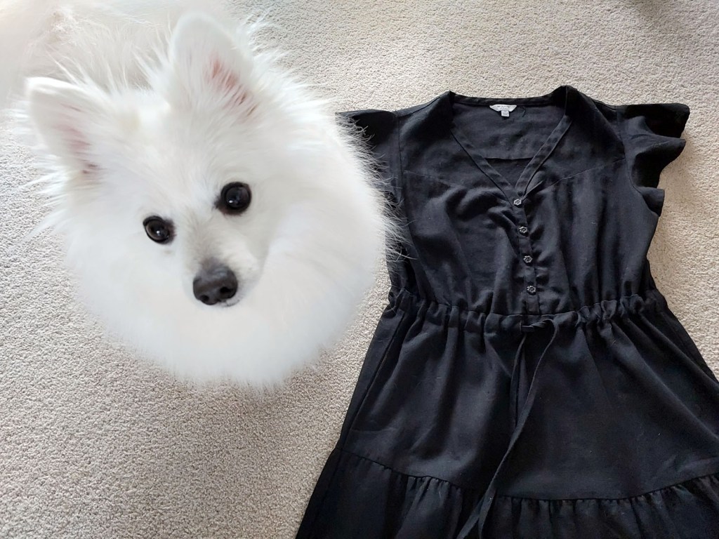 3D printed flower buttons and Japanese Spitz dog
