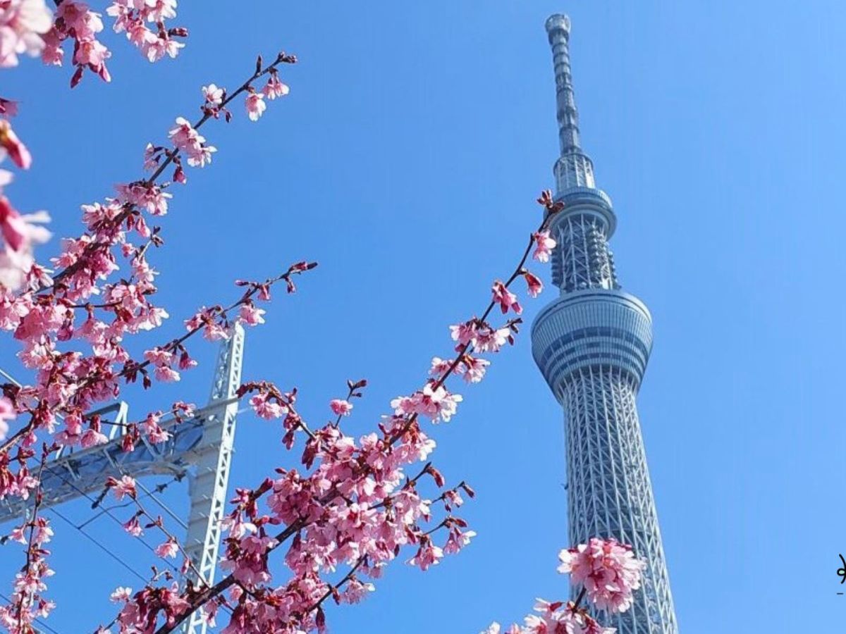 🥈 My favourite shopping centre in Tokyo: Solamachi (Sky Tree Town)